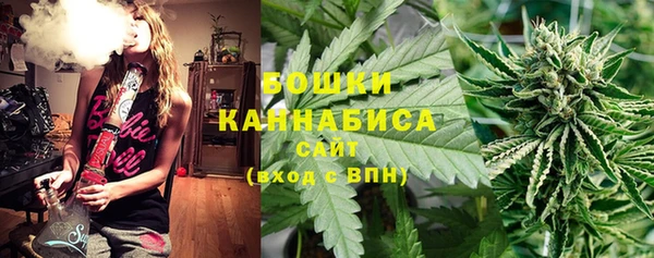 дмт Абаза