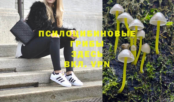 стаф Абдулино