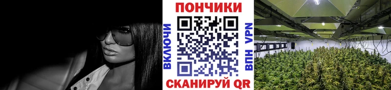 Шишки марихуана марихуана  Остров 